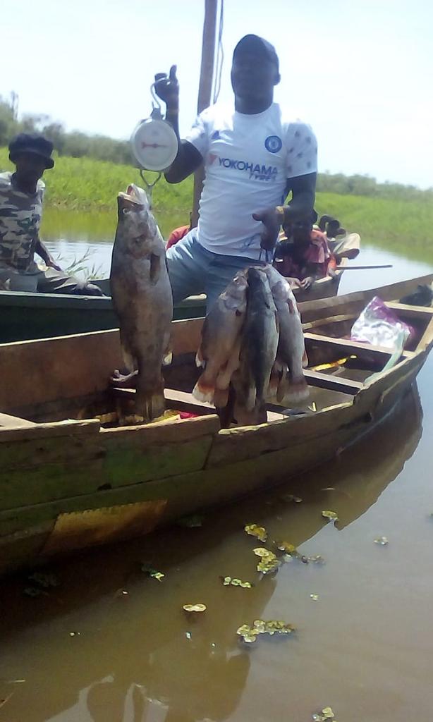 Joseph28583831's tweet photo. Fish from lake Victoria natural fish delicious fish in the world. https://t.co/5ox2djrm8z
