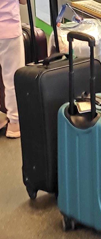 lilisauri's tweet photo. @TK_HelpDesk I requested your support here because the report number #2022121097 does not work on the tracking page, I urgently need to recover my suitcase, thanks. https://t.co/aAVjpiPip3