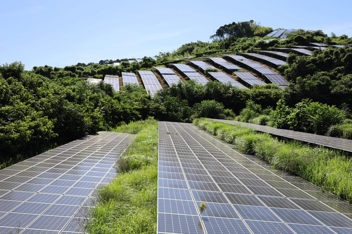 ソーラーパネルがラピュタ状態に！？メガソーラー運営会社が破産したその後とは！