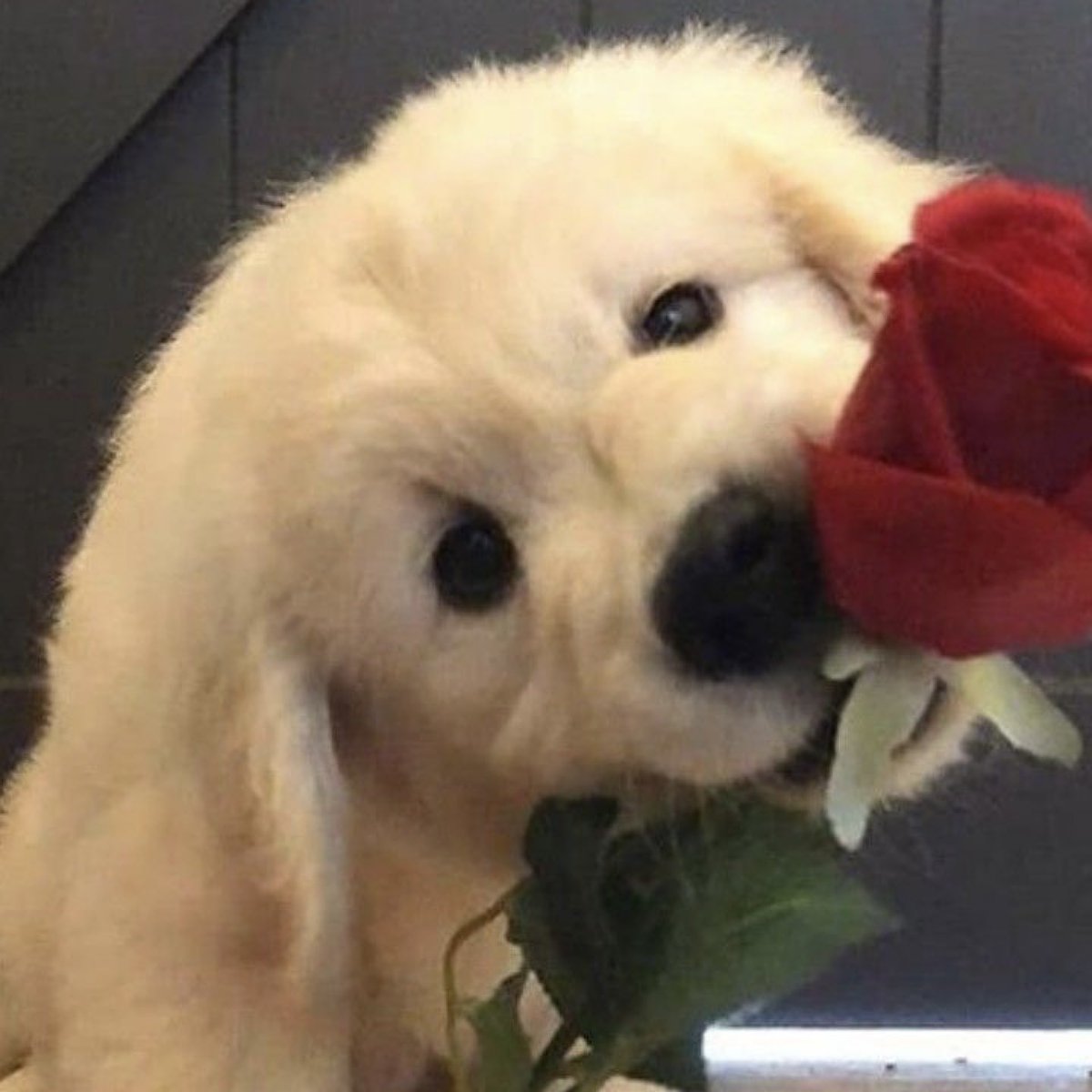 #TOMORROW_X_TOGETHER