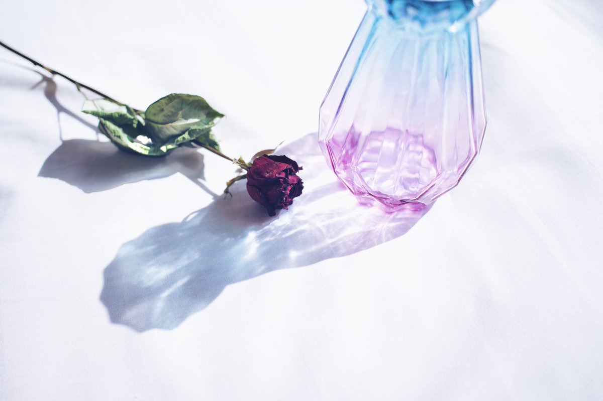 sumiyamisu's tweet photo. 撮/Nikon Z6II
#ドライフラワー #薔薇 #影 https://t.co/ICUn2UHUPw