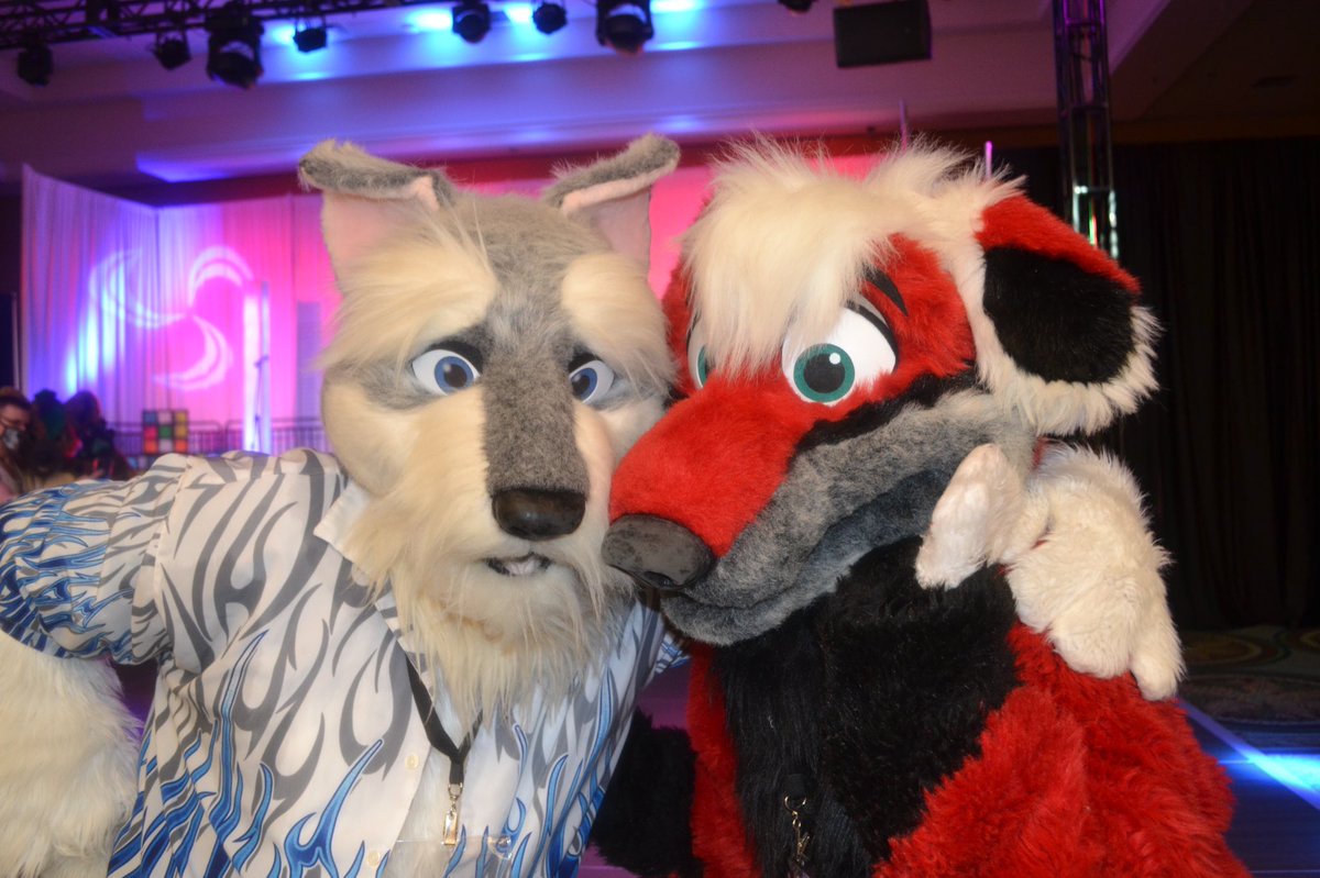 BraceBear's tweet photo. #JRSchnauzer and his newbie friend, 1st time attendee, 1st time suiter. I brought out #Halvdan for her to galavant around, interact and play in.
She says she had such a blast and was so happy to have had the experience.
📸: @kuddlepup https://t.co/oxktqFVrDN
