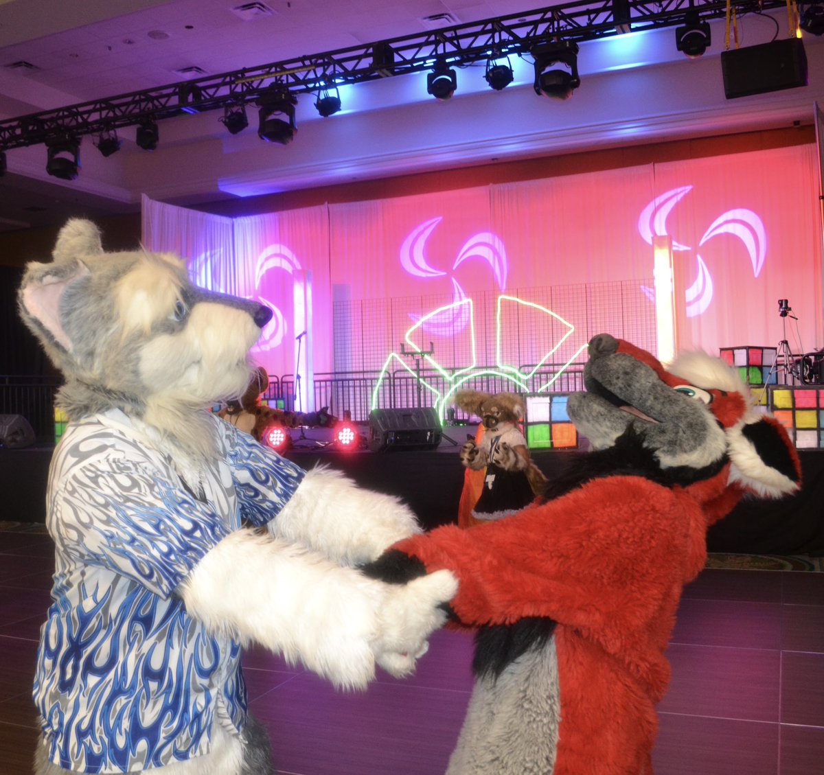 BraceBear's tweet photo. #JRSchnauzer and his newbie friend, 1st time attendee, 1st time suiter. I brought out #Halvdan for her to galavant around, interact and play in.
She says she had such a blast and was so happy to have had the experience.
📸: @kuddlepup https://t.co/oxktqFVrDN