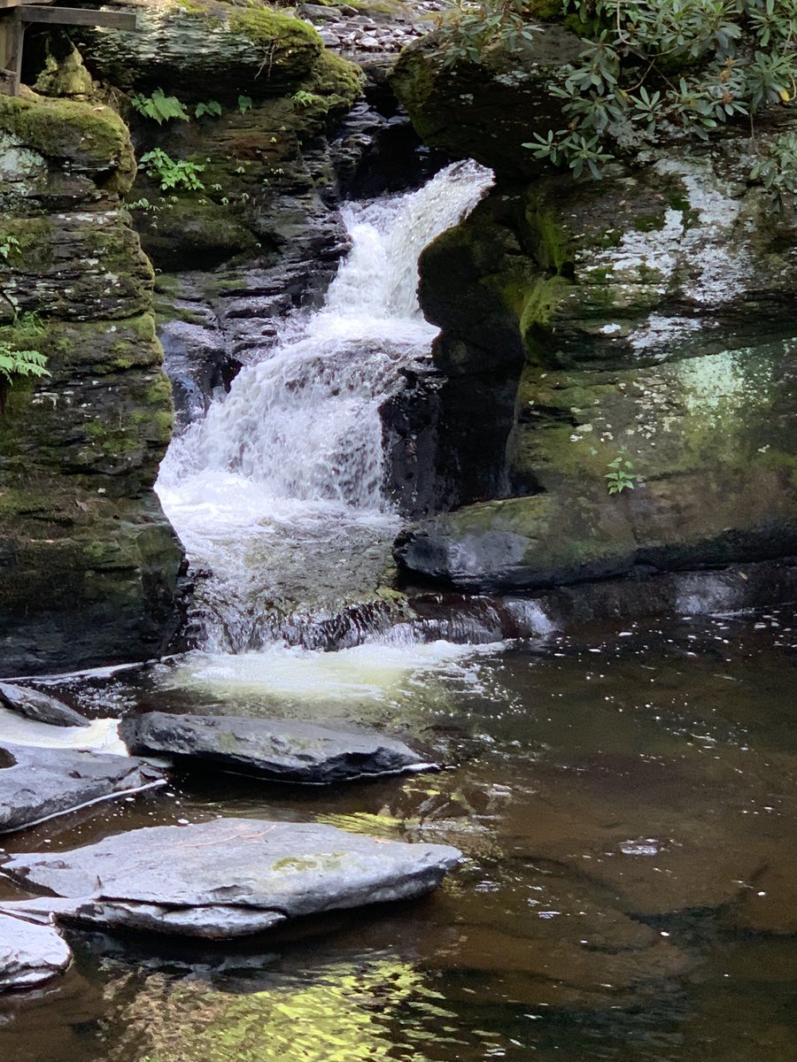 SarahSherpinsky's tweet photo. Nature at it’s best! #Bushkill Falls https://t.co/H57eMHnFmp