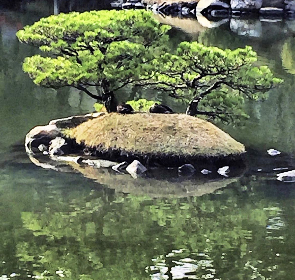 phitchener9's tweet image. Some tranquility for Sunday… #howstheserenity #enjoytheday #relax