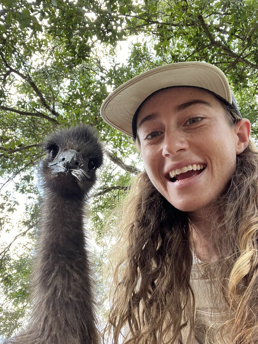 eco sister tweet media