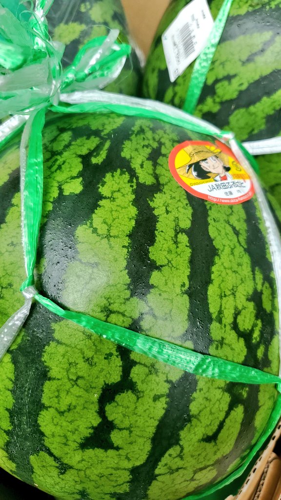 ccs_machiya's tweet photo. 本日の🍉青果コーナー🍉

🍉西瓜🍉激安です‼️
１玉なんと～１０００円‼️
キンキンに冷やして
召し上がって下さい😊
優待券ご利用で
ポイントも３倍です😊
#ココスナカムラ #町屋
#西瓜 #すいか #スイカ
#キンキンに冷えてやがる
#ポイント #３倍 https://t.co/rL0kY6gkB4