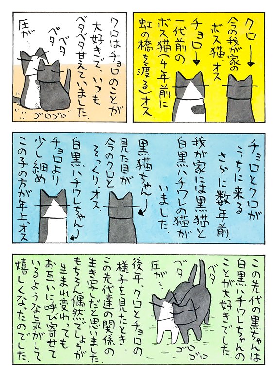 お盆に想う│フェリシモ猫部 https://t.co/n7FSVIn8JP 