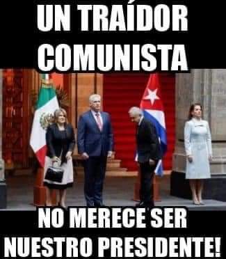 soycomotiburon's tweet photo. https://t.co/spV5DviQaE