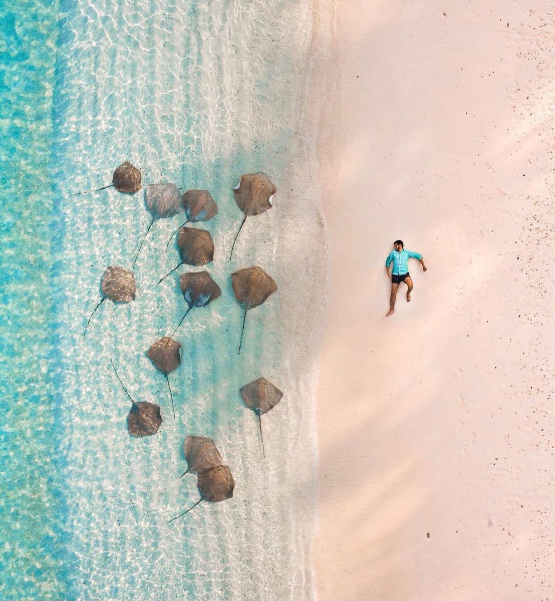 CG Hospitality tweet media