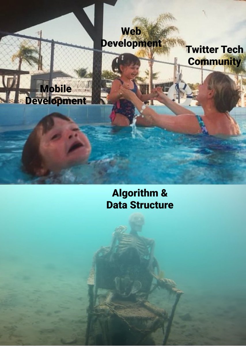 Meme: Twitter tech community (mother holding child above the water in a swimming pool) / Web development (child being held up by mother) / Mobile development (child drowning in pool, ignored by mother) / Algorithms and data structures (skeleton in chair at bottom of pool).