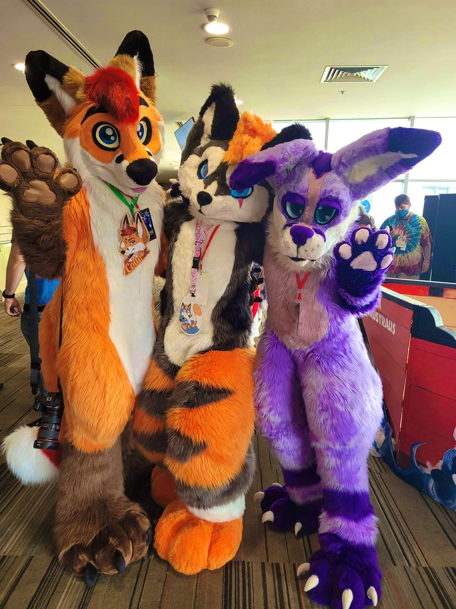 Garou met more friends!
The photogenic <a href="/coltofox/">Colto Fox</a> and a bunny who I believe is Pixen!
Hi you guys! 😁
#auRAWRa #fursuit #furry