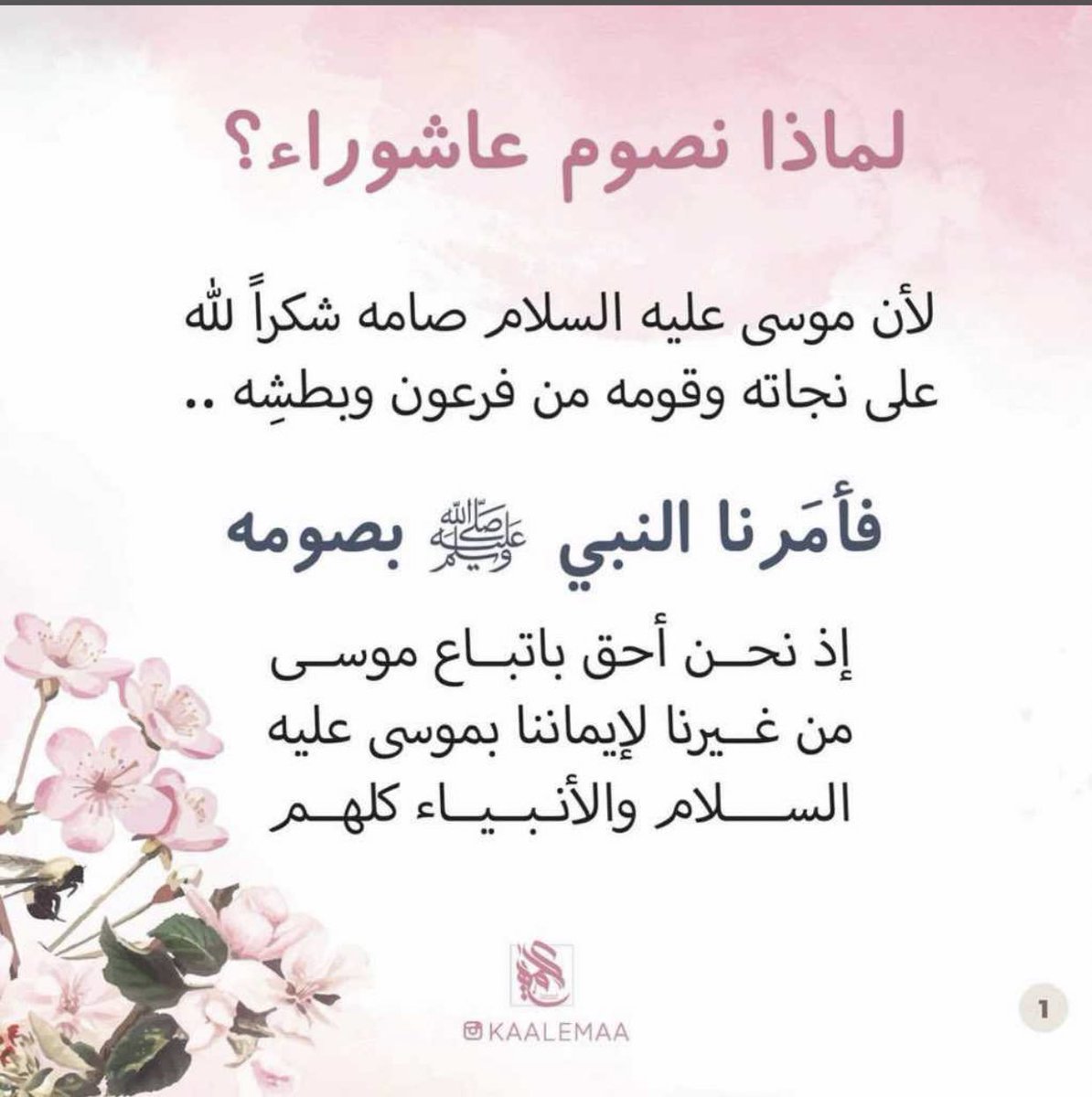 Khaoula_0520 tweet picture