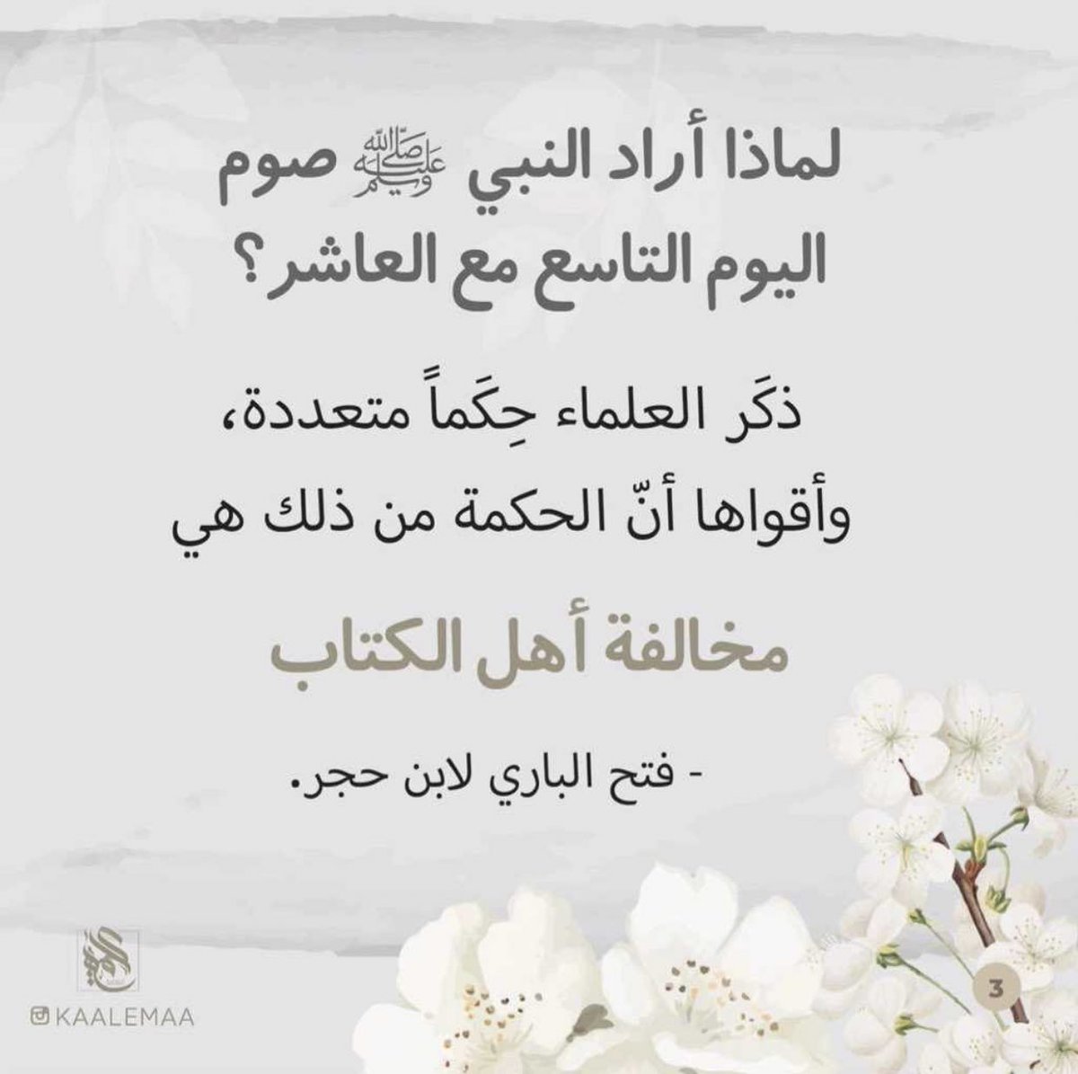 Khaoula_0520 tweet picture
