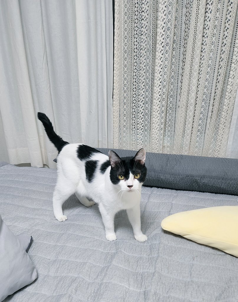 너어 그 도전적인 눈빛은 무엇이냐