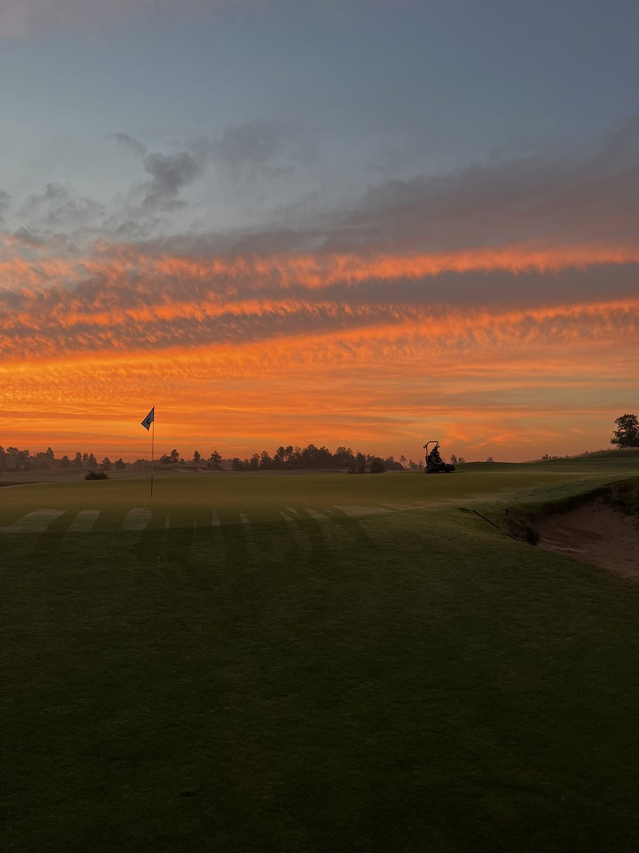 Tristan Wood tweet media