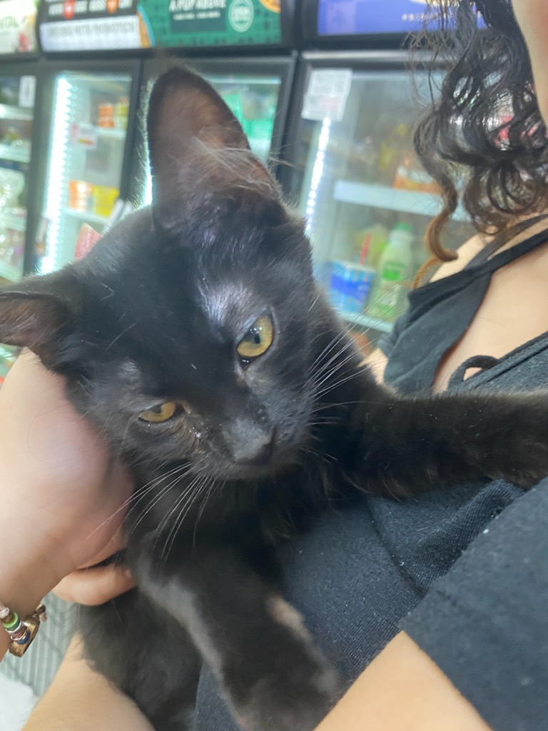 Liz 🧍🏻‍♀️ tweet media