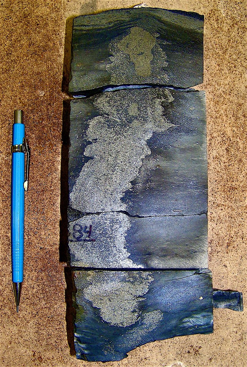 stratigraphix's tweet photo. Pyrite in the Late Devonian to Early Mississippian Upper Bakken Shale from the Williston Basin of North Dakota.
#geology #shale #pyrite #fractures #shaleplays #mudrocks #coredescription #sedimentology #sequencestratigraphy https://t.co/YgQEvA0B6v