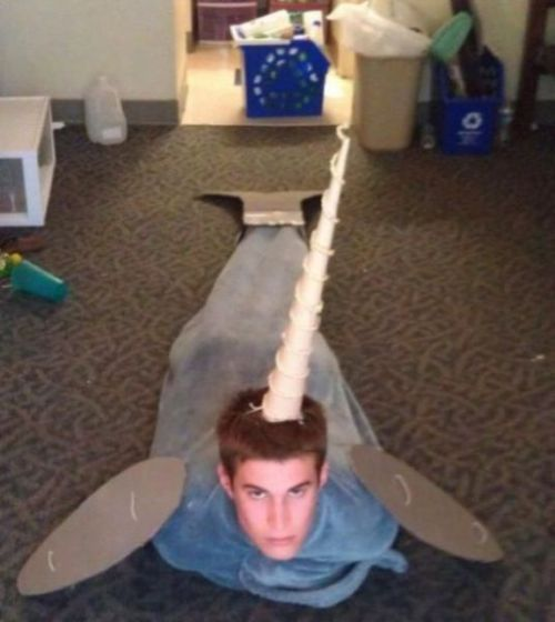 0lsi0r's tweet photo. he trully likes narwhals... https://t.co/nlc9t1df9X