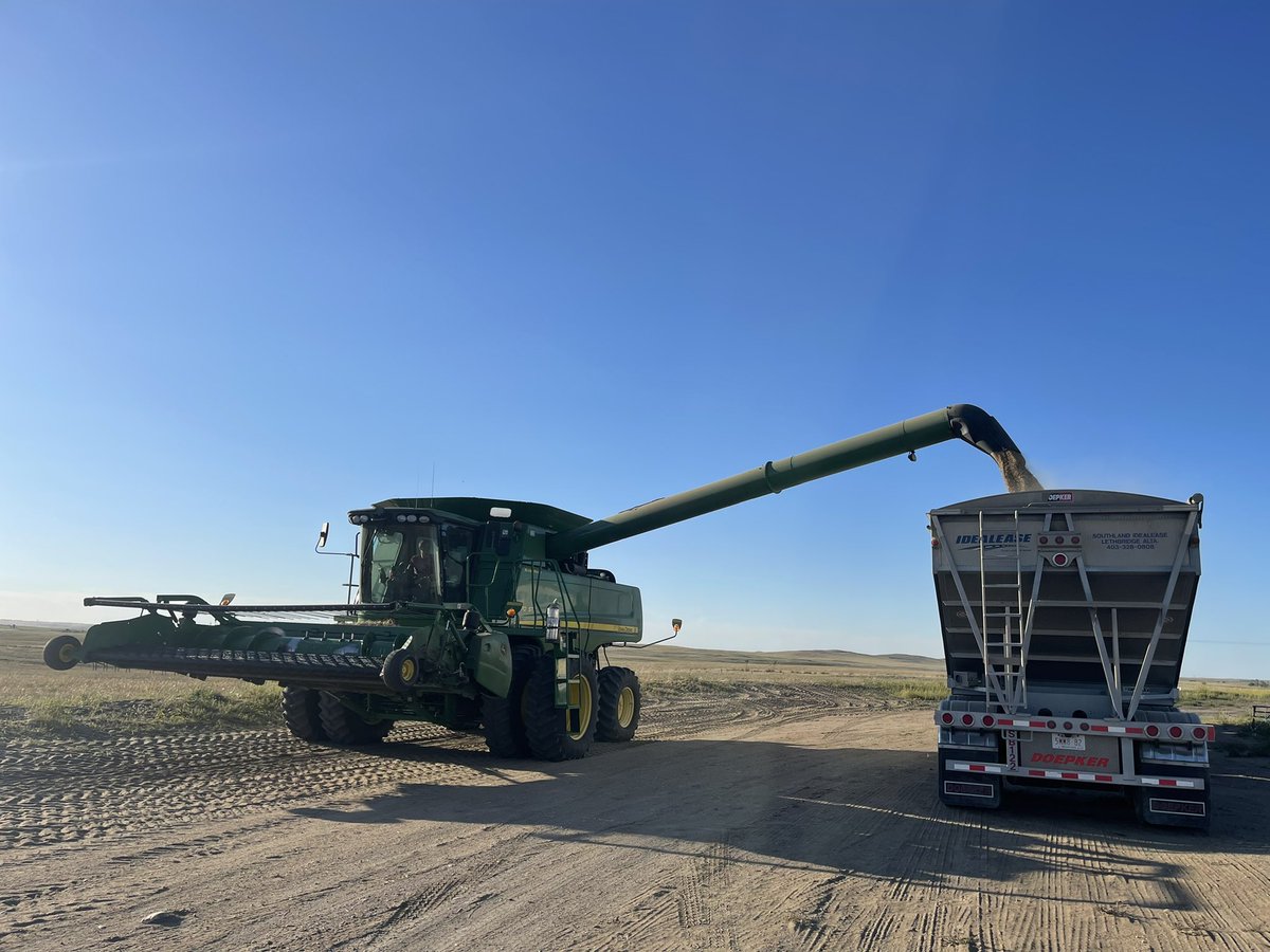 More rye coming in #harvest22