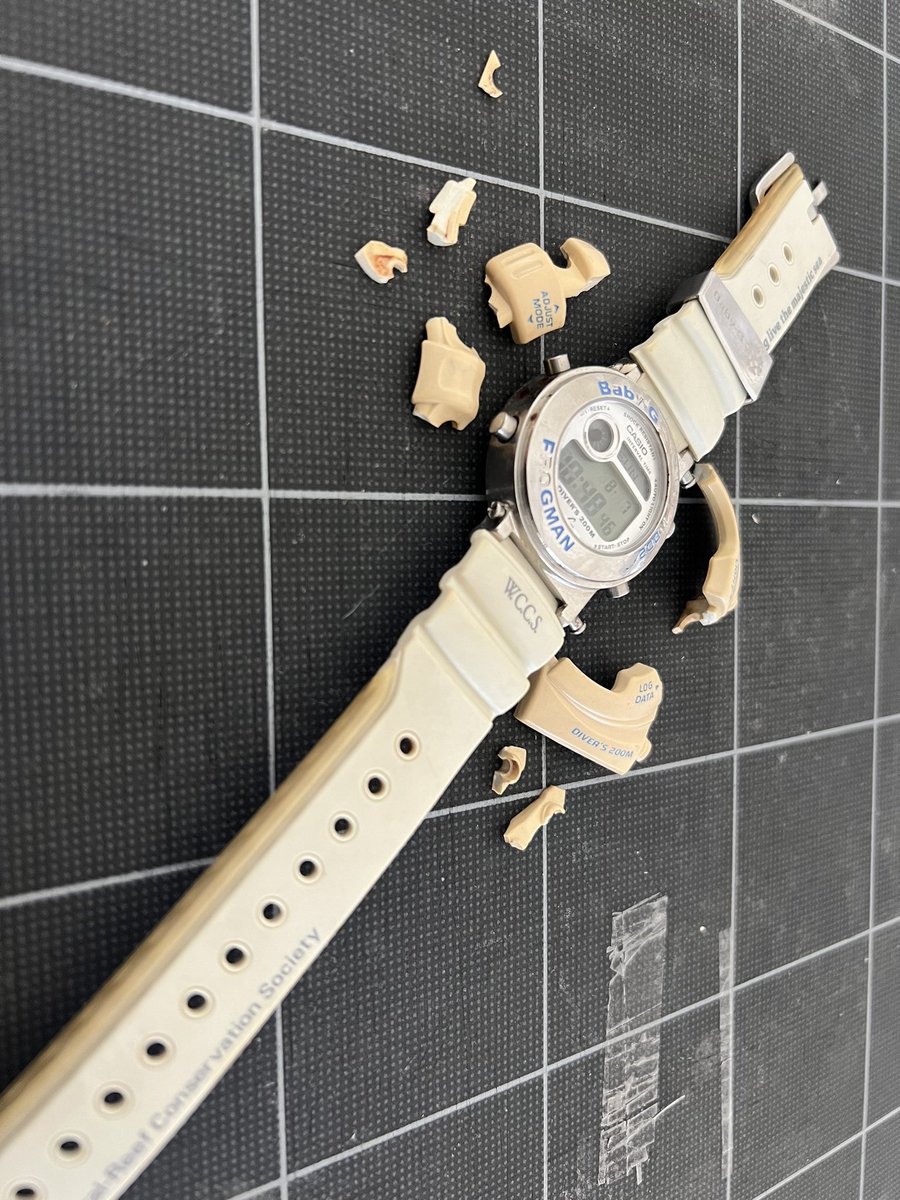 ordyne1988's tweet photo. 納戸から出てきた古いG-SHOCK。
手に取ったとたんボロボロに😭
思い出はこうやって消えていくのか。アニメ化決定してほしい。
#G-SHOCK
#W.C.C.S
#マンタ https://t.co/Ivc4f2DtQu