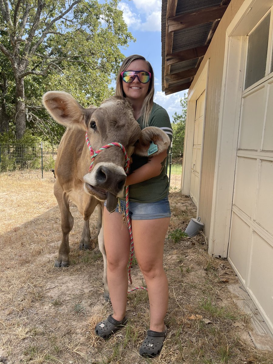 madpditty's tweet photo. My sweet Sasha girl 🤍🧡 https://t.co/wqogIBqRnk