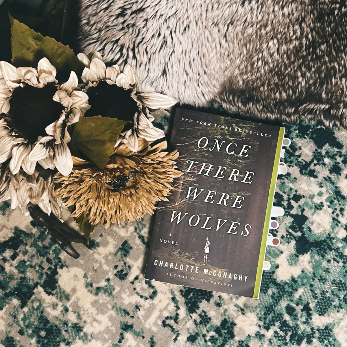 BOOK REVIEW

Once There Were Wolves | Charlotte McConaghy
⭐⭐⭐⭐

This is a gorgeous story about empathy, forgiveness, and the struggle to do what is right no matter the cost.

-Atmospheric
-Emotional
-Quick read

Full review on Instagram- ekrichardswrites

#booktwt #bookreview