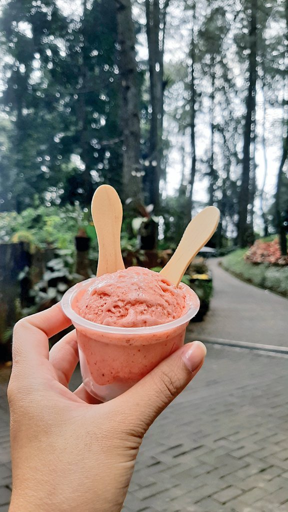 GM! Happy Sunday 🍨
@ Puncak, Bogor, ID