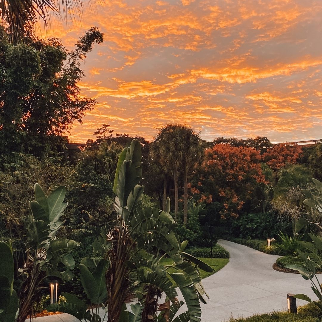 Sycamore__Co's tweet photo. How about some coffee with this view. https://t.co/pPHD83o7KA
