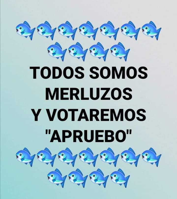 marcelo36283131's tweet image. 