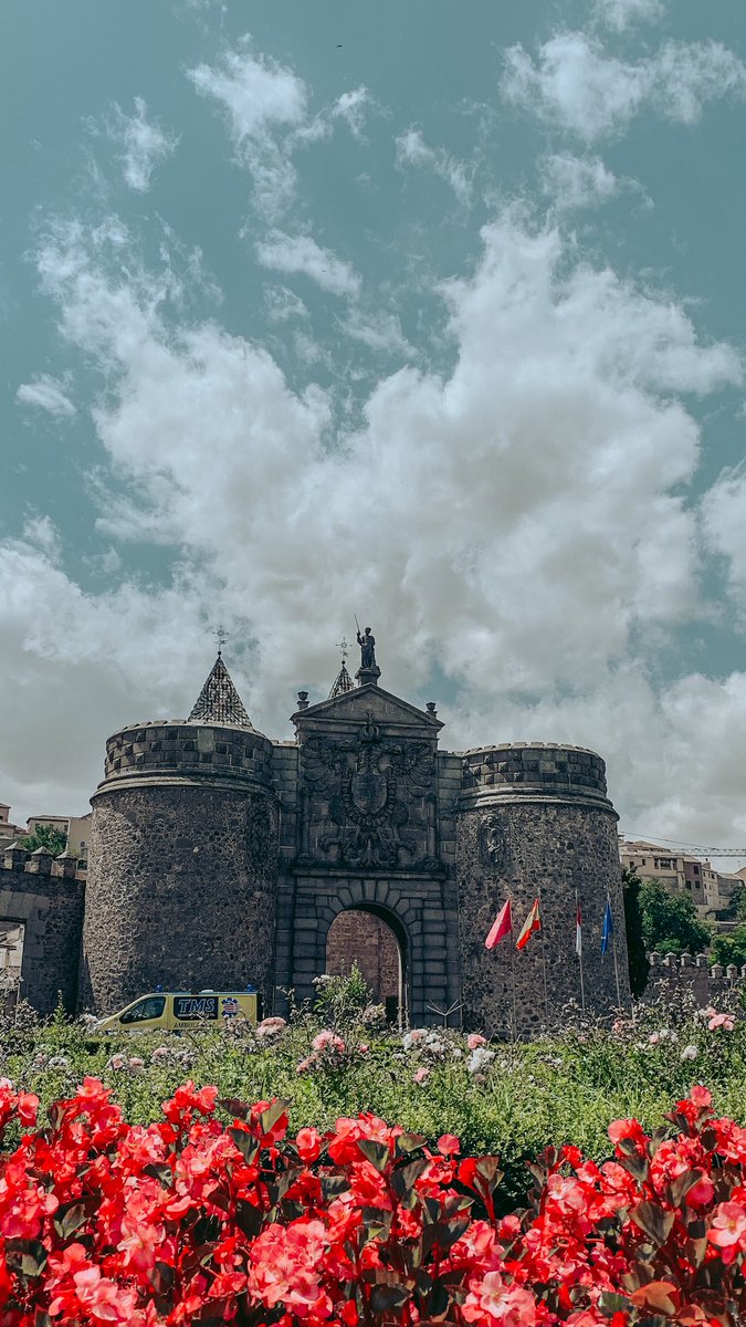 Topo Mosso tweet media