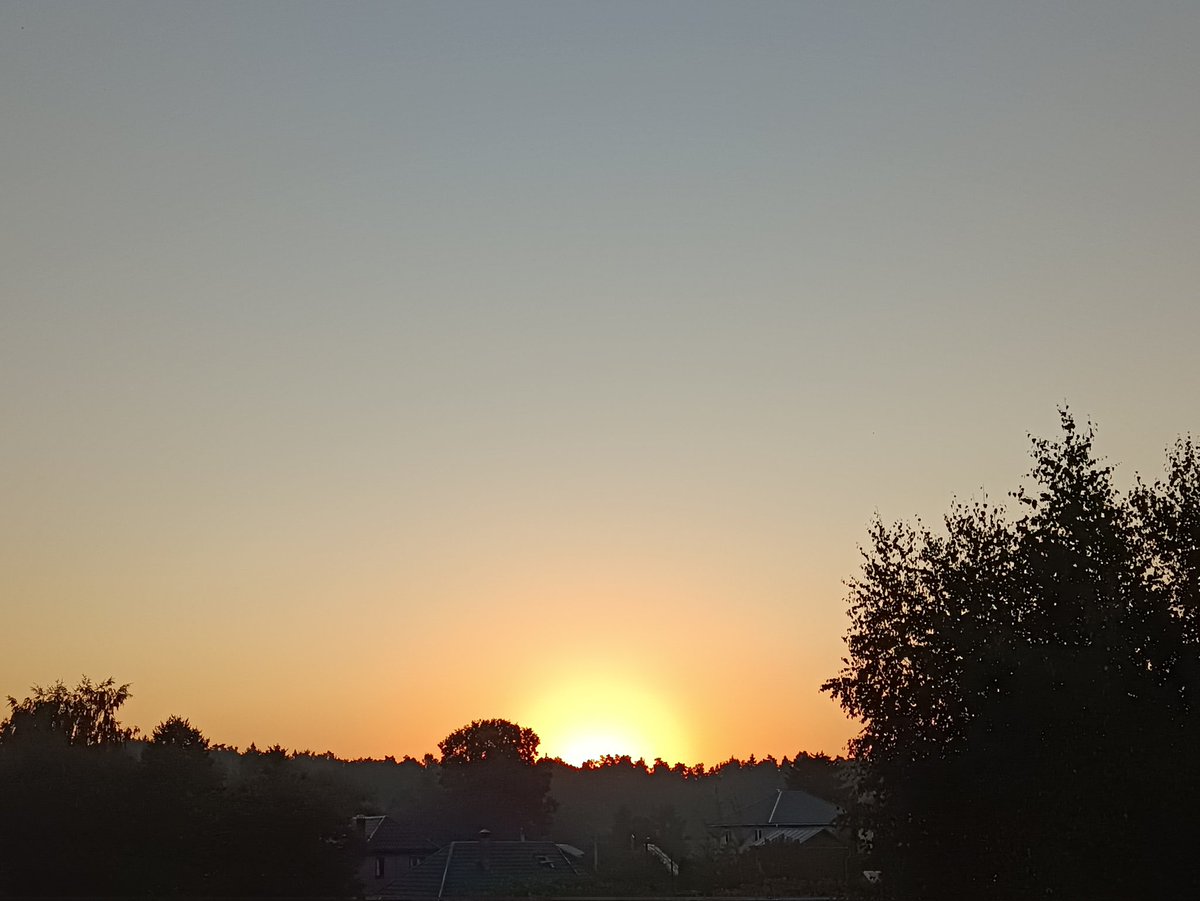 #поисковыерассветы