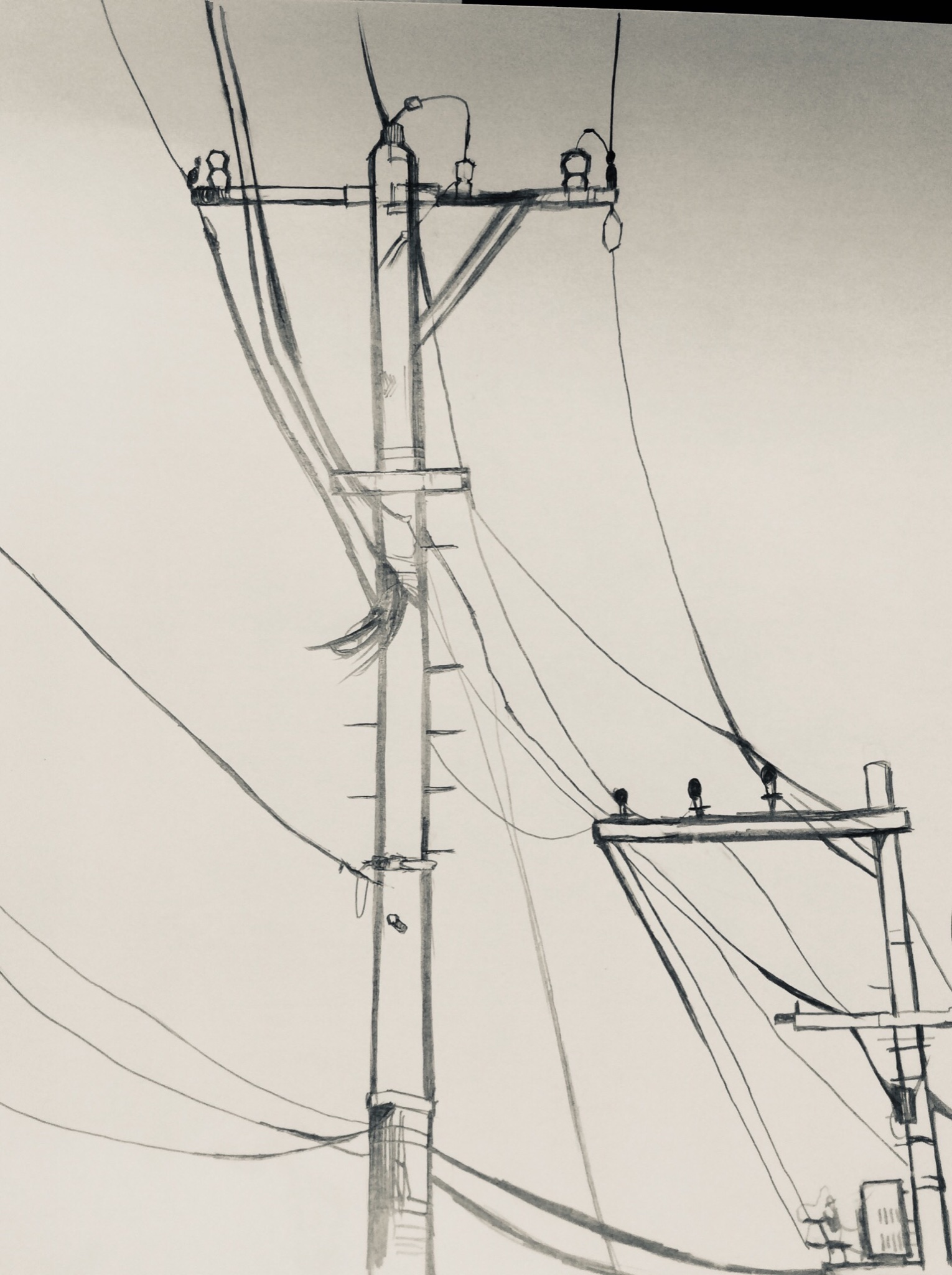 電柱イラスト Twitter Search Twitter