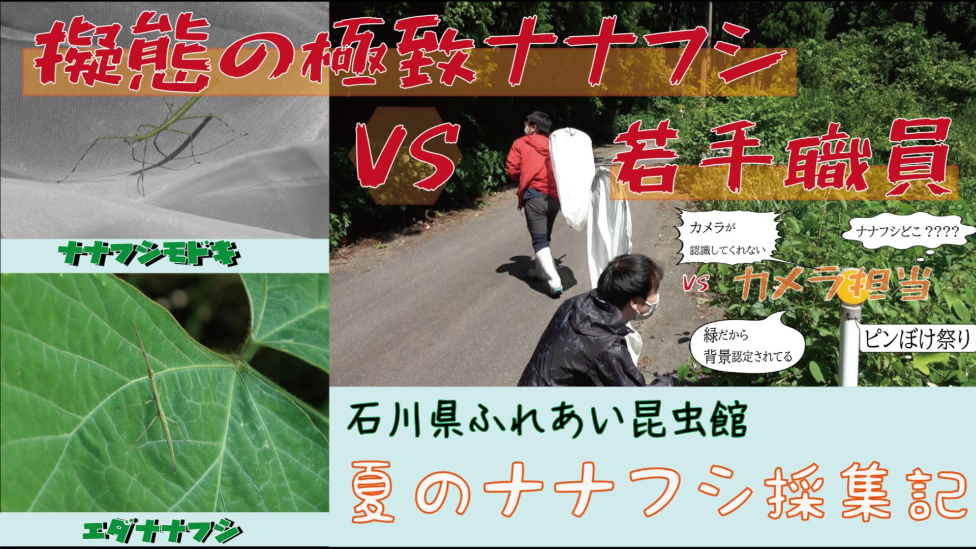 石川県ふれあい昆虫館 Furekonofficial Twitter