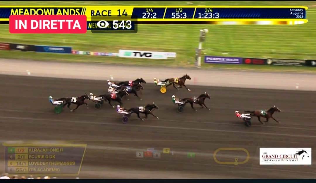 L'ippica italiana del trotto , vent'anni dopo Varenne ha prodotto un altro fenomeno..
ALRAJAH ONE, il "crack" di Vincenzo Izzo, allevato da Sara Bacchi e Luca Crosetti,straccia ancora gli americani con la solita sensazionale retta d'arrivo e vince il John Cashman Mem. in 1.50.3