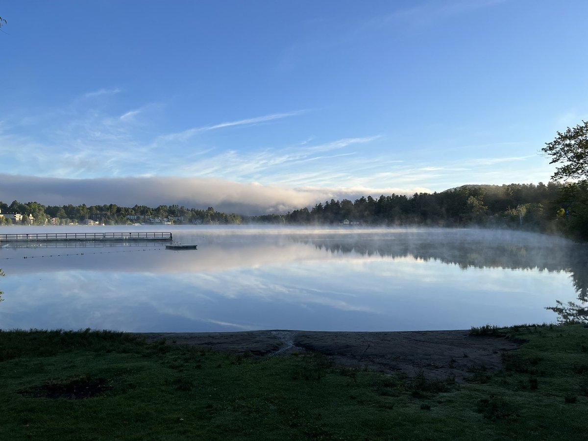 John Rishko tweet media