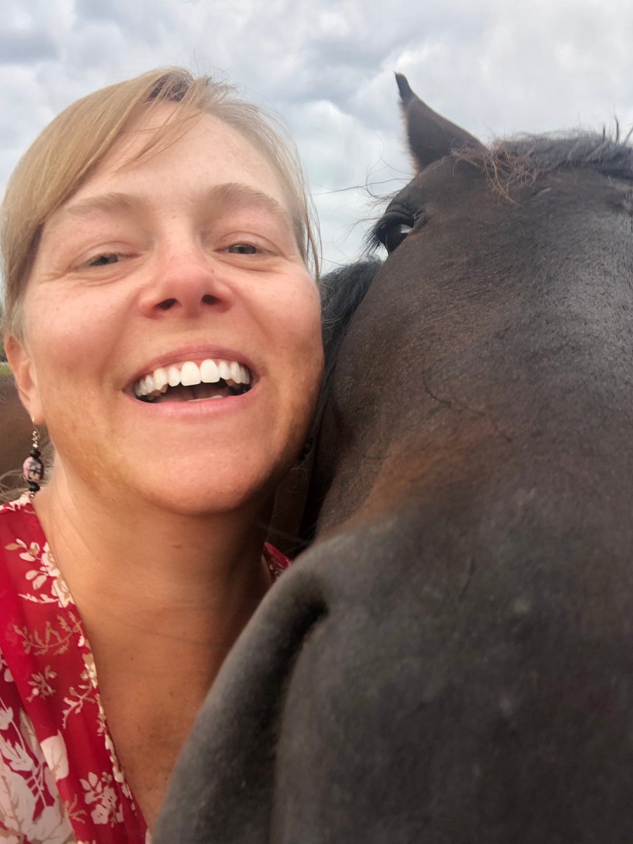 kgjamesNV's tweet photo. Lickity split and jigity jig I’m back home in one piece! #COVIDisAirborne #ilovehorses #oldRV #roadtrip #fatherdaughter https://t.co/Bqor9ntC2C