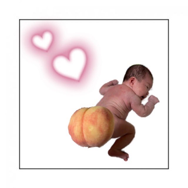 フルーツアート Twitter Search Twitter