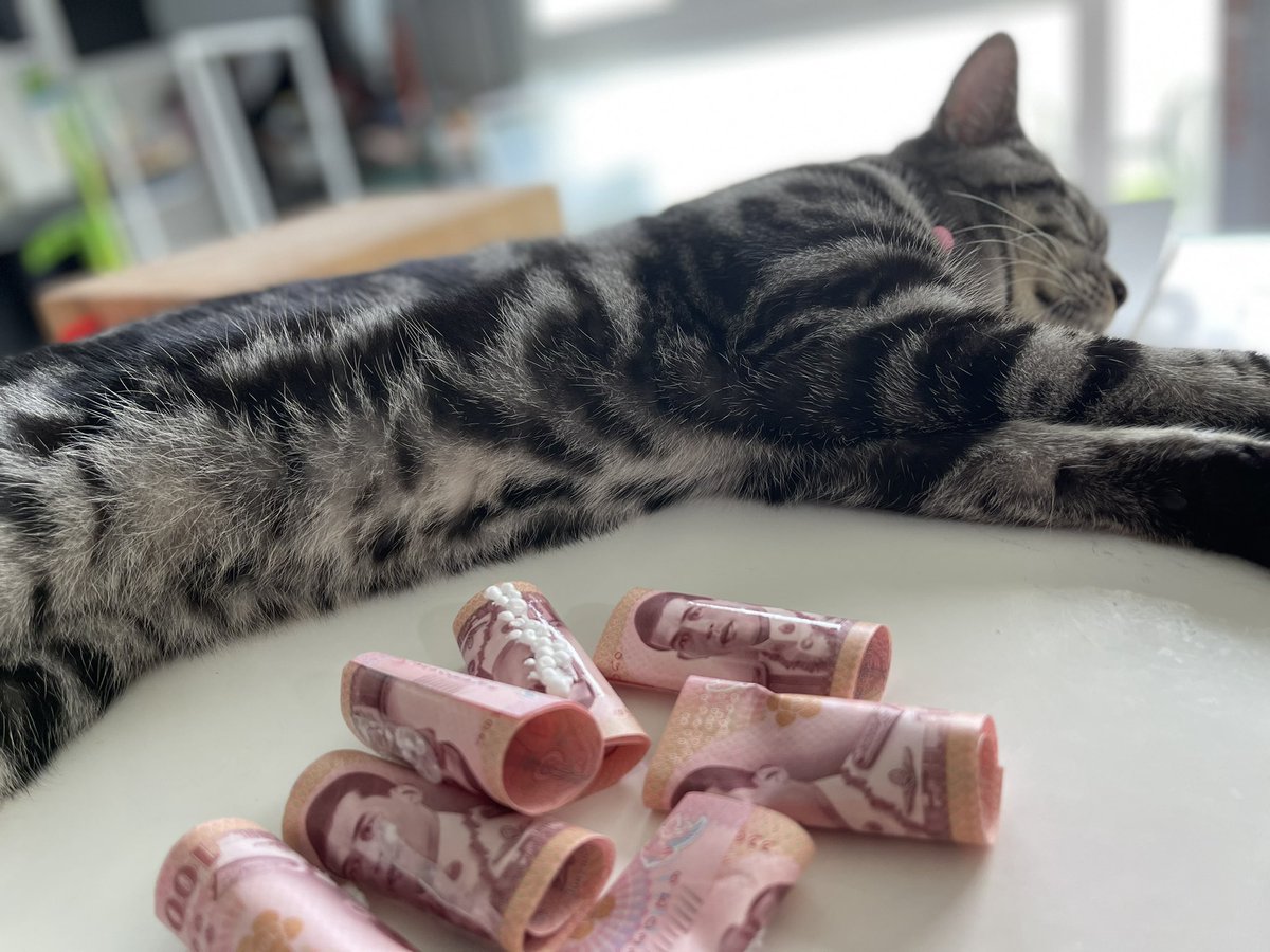 NormalMomm's tweet photo. ช่วยกัลฮับม๊า เด๋วก้เสร็จ…จูเฝ้าไว้เอง 😽 https://t.co/WjgByeQ2dZ