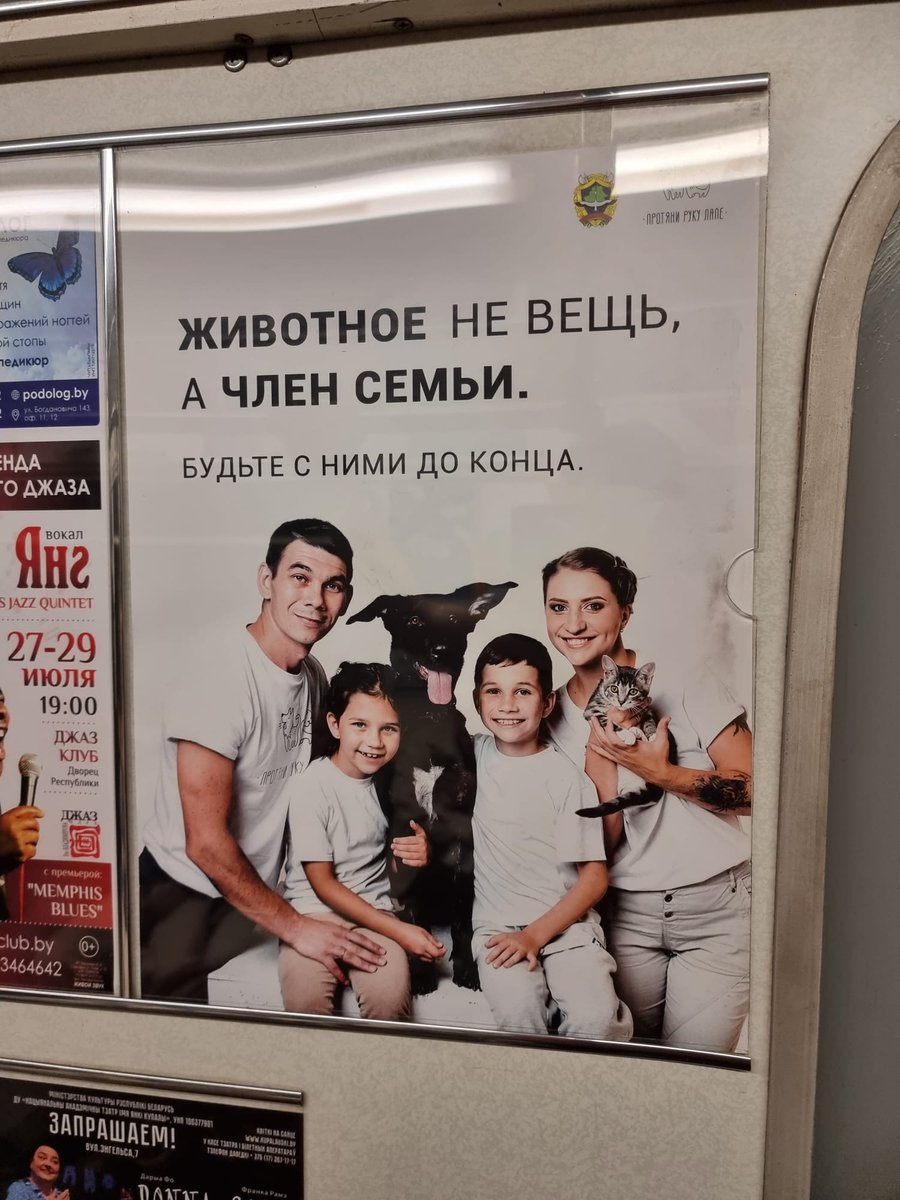 Como é bom para uma pessoa ter um amigo leal ❣️ 🐕‍🦺🐈 Veja a publicidade social em #Belarus 🇧🇾 destinada a promover atitudes humanas em relação aos #animais de estimação. Nunca devemos esquecer que os animais errantes são um problema em nossa sociedade e precisa ser resolvido ✅.