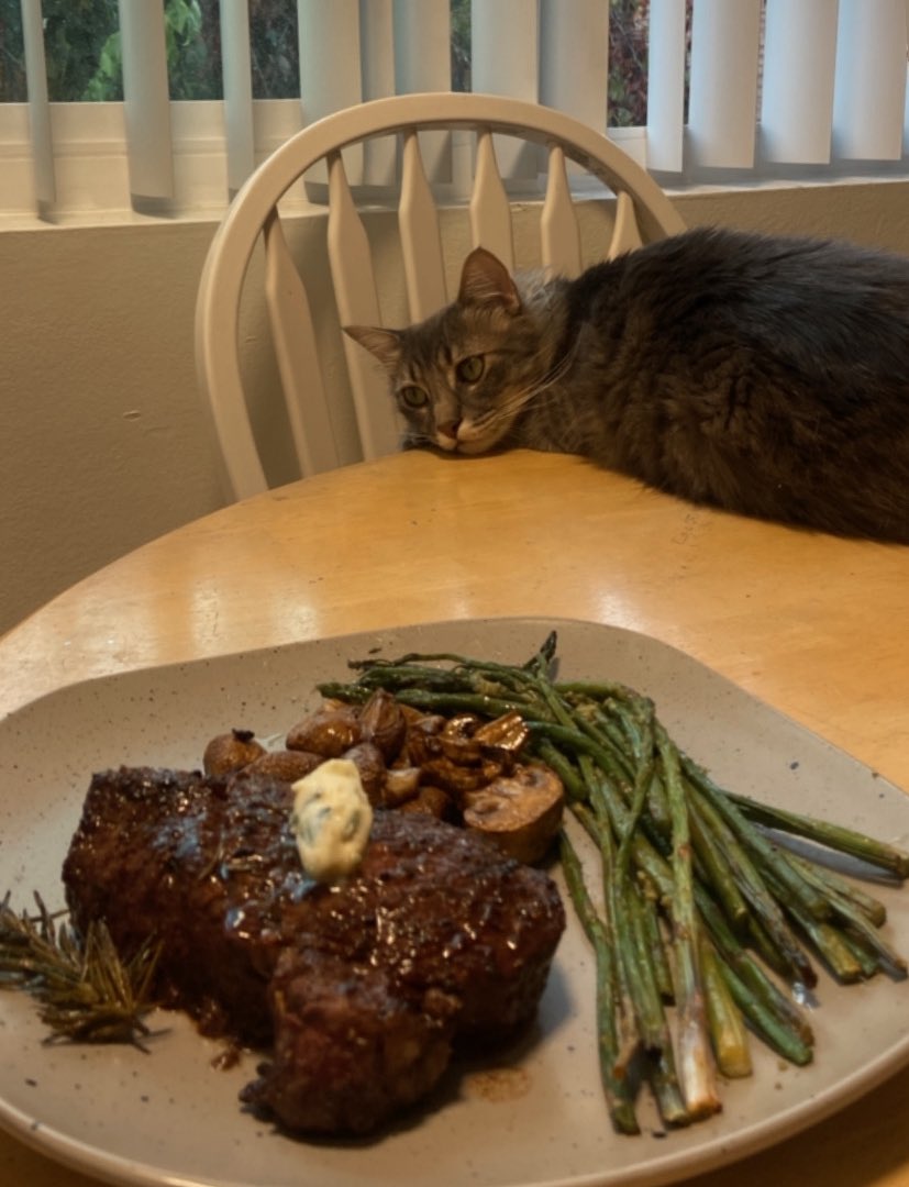 bricasttro's tweet photo. Unimpressed https://t.co/2J4lpQ7fmJ