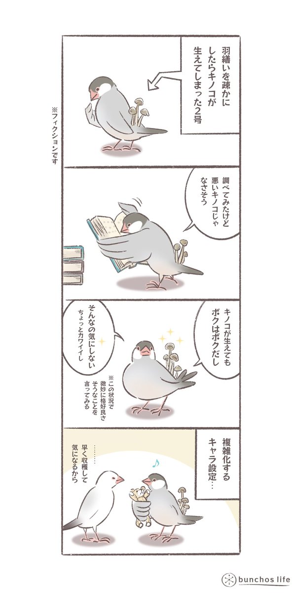 羽繕いを怠った結果、背中にキノコが生えてしまった2号その後
複雑化するキャラクター設定…
#文鳥
#bunchoslife 
