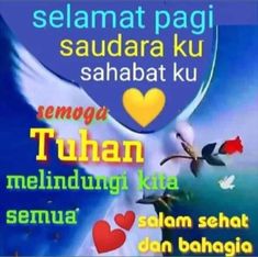 Hanan tweet media