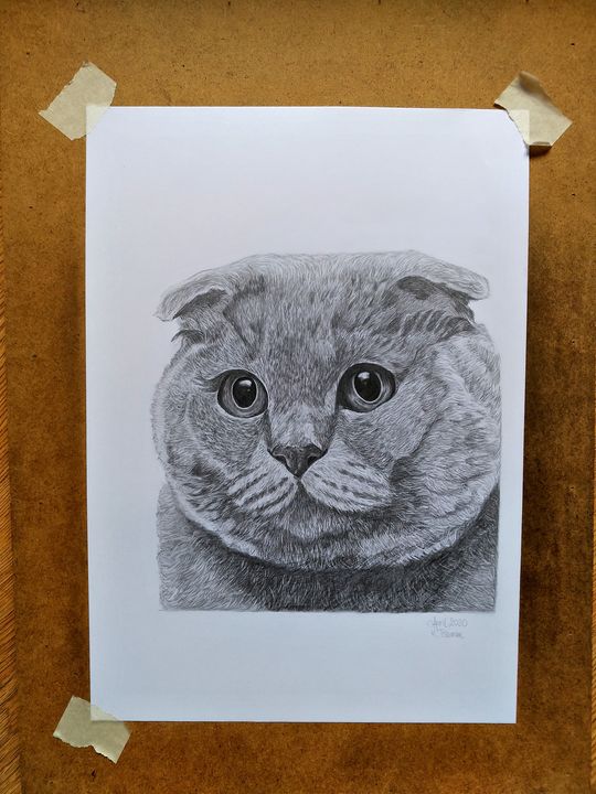 Featured Art of the Day: "Portrait of a cat". Buy it at: ArtPal.com/katetsuman85?i…