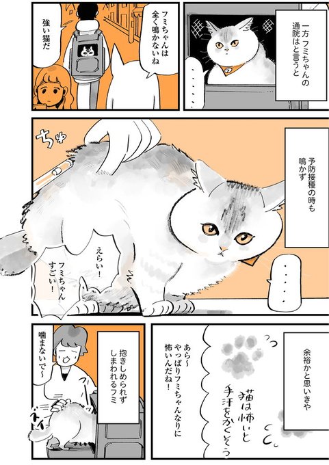 うちの猫は仲が悪い を含むマンガ一覧 | ツイコミ(仮)