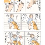 心配してくれている？それとも･･･!ちょっぴりハラハラしちゃう、愛犬とのエピソード!