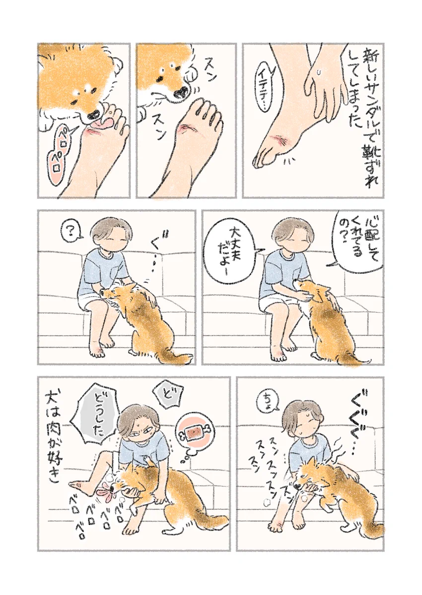 心配してくれている？それとも･･･！ちょっぴりハラハラしちゃう、愛犬とのエピソード！