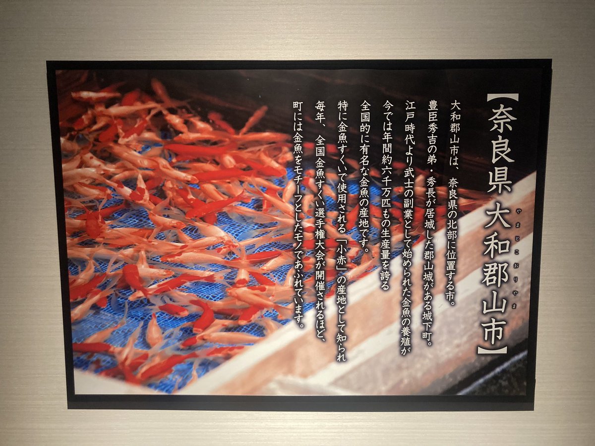 hidebon1007's tweet photo. 武士としての副業が金魚の養殖🐟
いつの時代も収入源は複数必要なんやね https://t.co/wnosA9IaQT