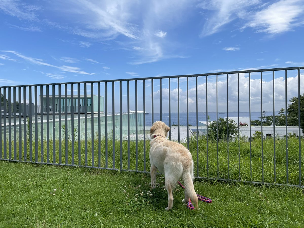 CrossAndWing's tweet image. 