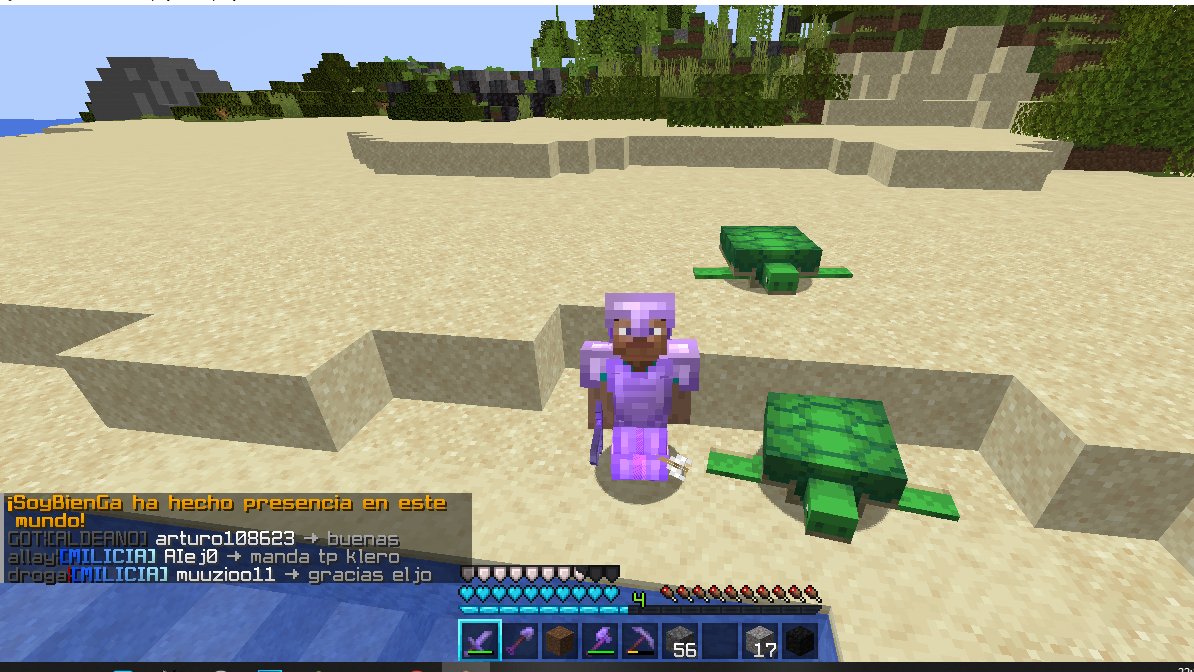 PabloRobotinYT's tweet photo. Nunca había jugado survival, así que ando empezando en un servidor y me encontré dos tortugas en la playa :D será suerte y señal para que vicee toda la noche? digo que SÍ. https://t.co/4Id0DauY6K